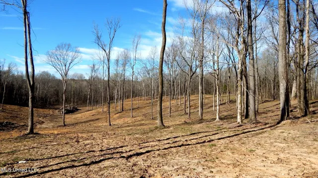 $395,000 | 4577 Bluff Road, Hernando, MS 38632