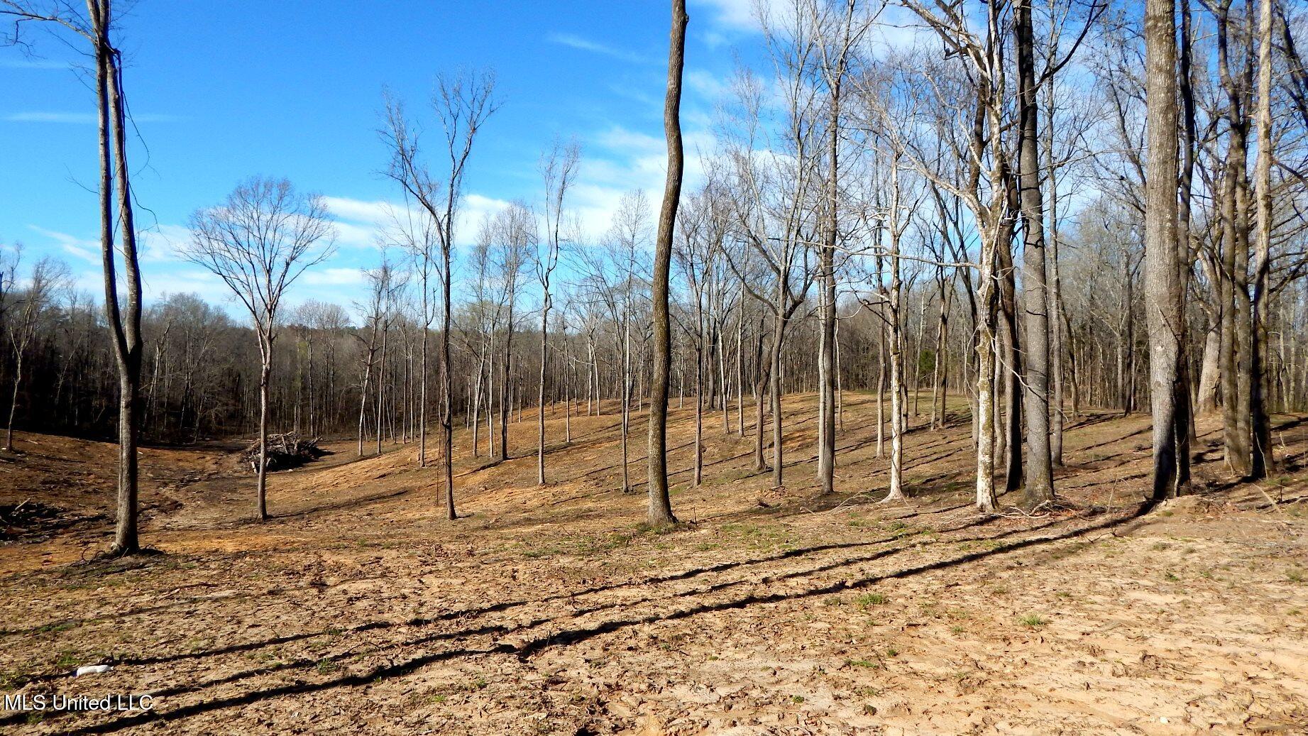 4577 Bluff Road Hernando, MS 38632 - Photo 26 of 50 DSCN6726