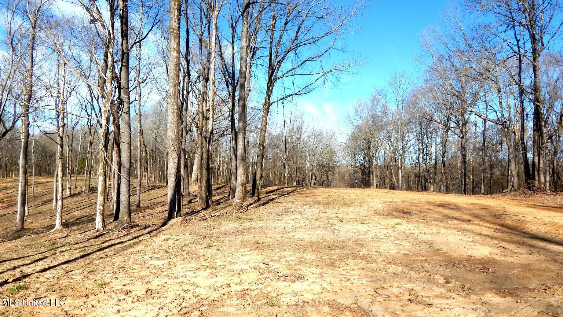 4577 Bluff Road Hernando, MS 38632 - Photo 27 of 50 DSCN6727