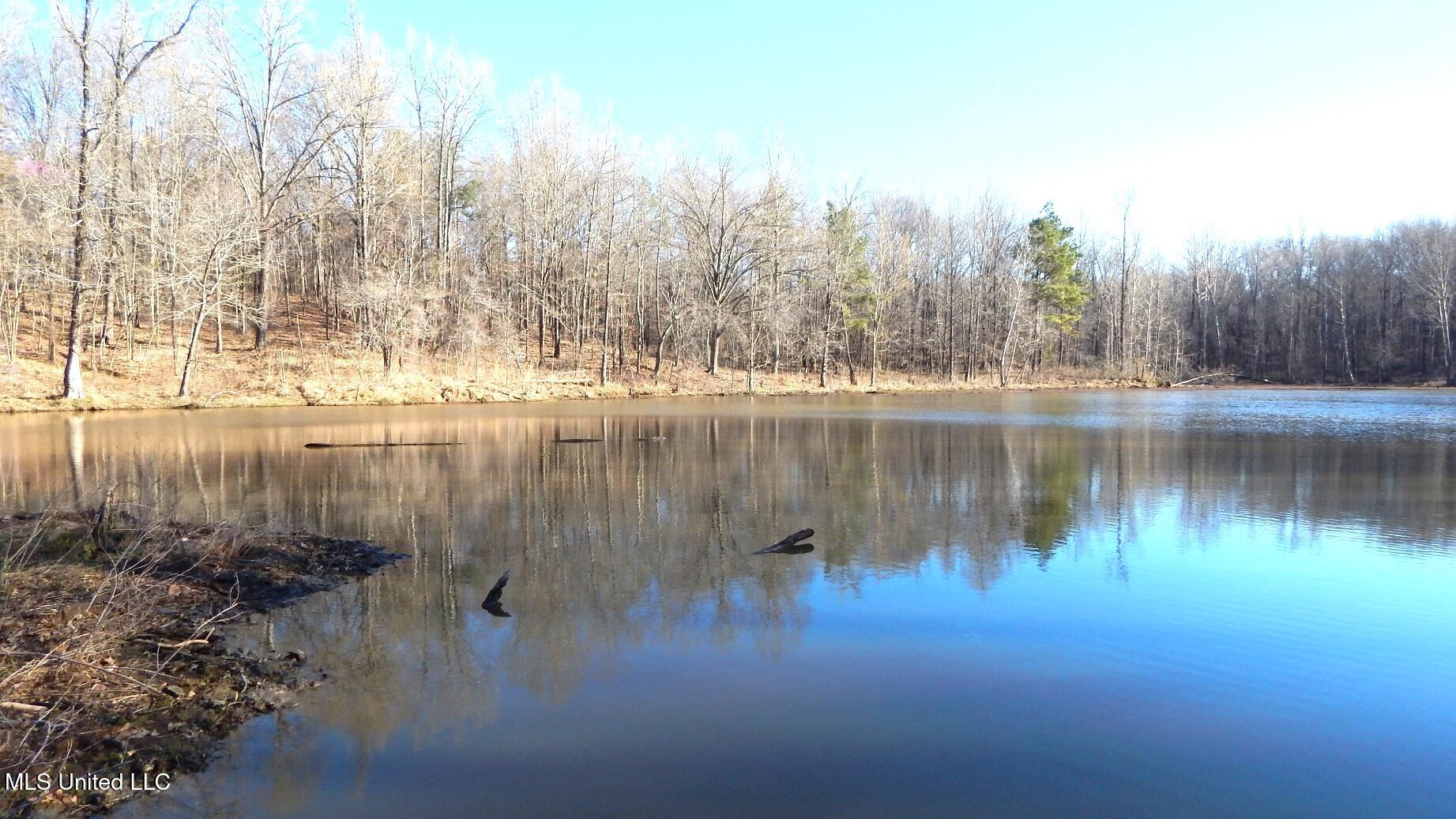 4577 Bluff Road Hernando, MS 38632 - Photo 28 of 50 DSCN6683