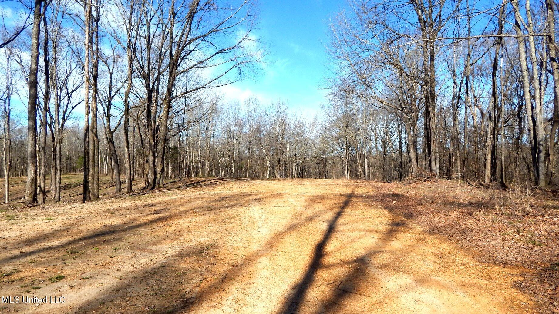 4577 Bluff Road Hernando, MS 38632 - Photo 29 of 50 DSCN6729