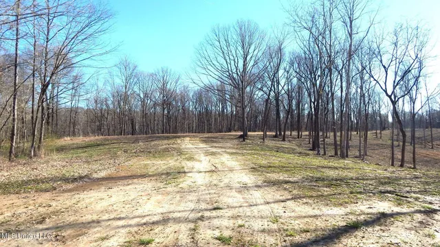 $395,000 | 4577 Bluff Road, Hernando, MS 38632