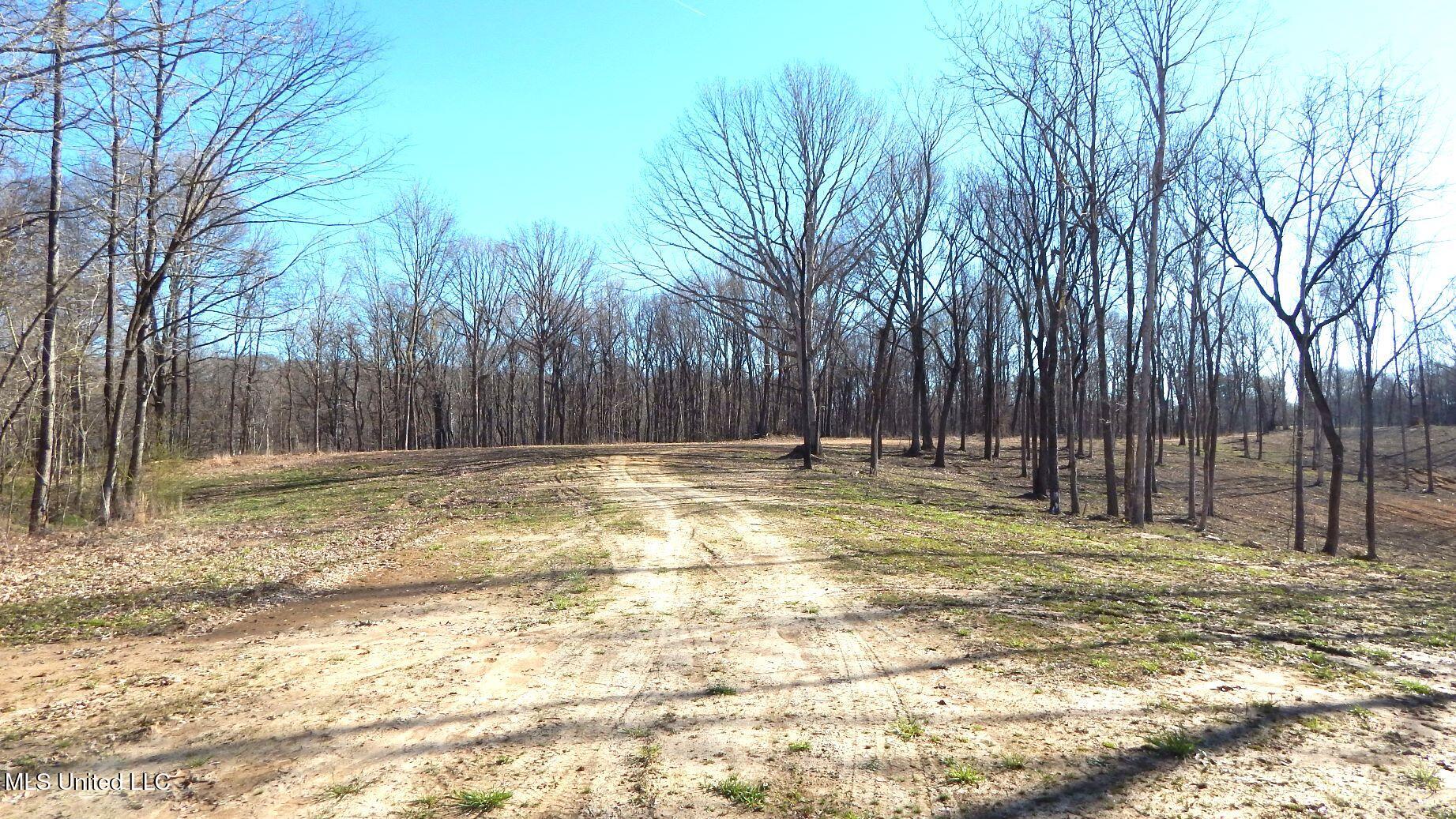 4577 Bluff Road Hernando, MS 38632 - Photo 3 of 50 DSCN6744