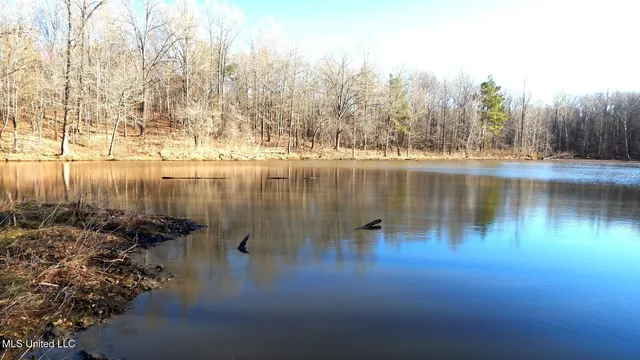 $395,000 | 4577 Bluff Road, Hernando, MS 38632