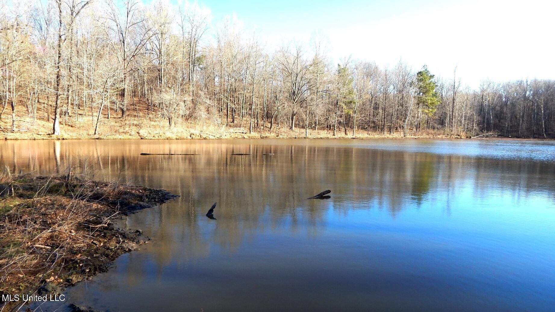 4577 Bluff Road Hernando, MS 38632 - Photo 31 of 50 DSCN6687