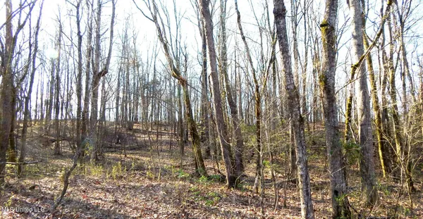 $395,000 | 4577 Bluff Road, Hernando, MS 38632