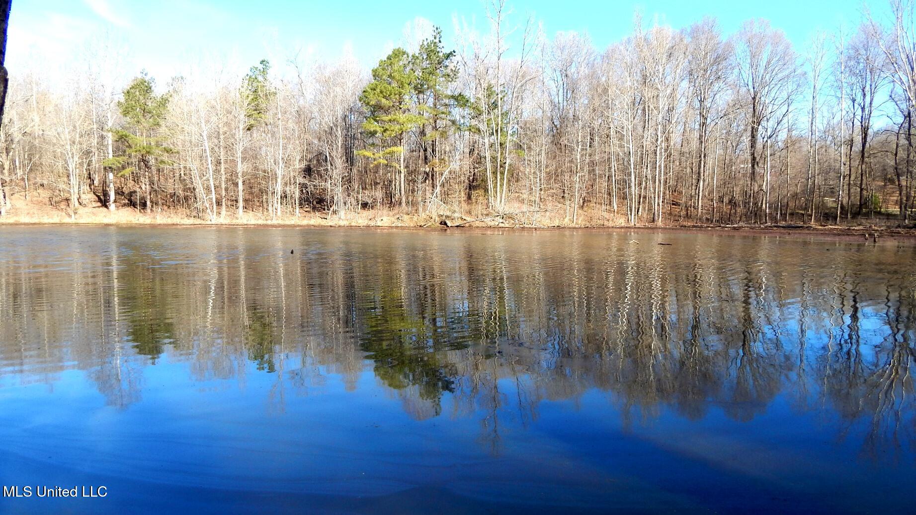 4577 Bluff Road Hernando, MS 38632 - Photo 34 of 50 DSCN6692