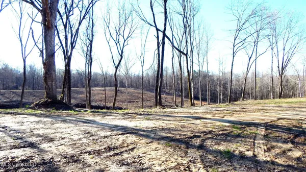 $395,000 | 4577 Bluff Road, Hernando, MS 38632