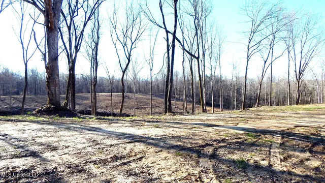 $395,000 | 4577 Bluff Road, Hernando, MS 38632
