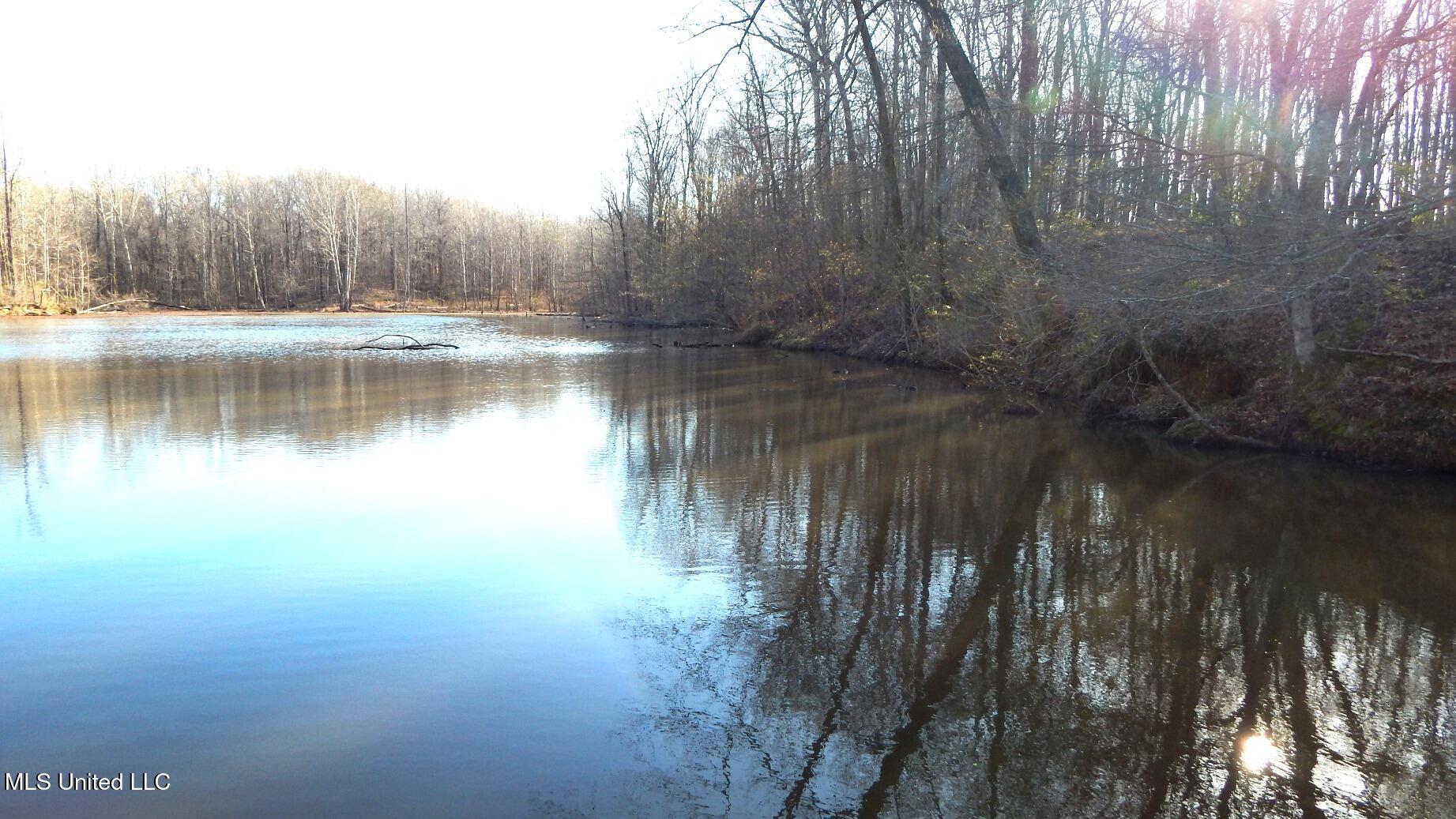4577 Bluff Road Hernando, MS 38632 - Photo 36 of 50 DSCN6685