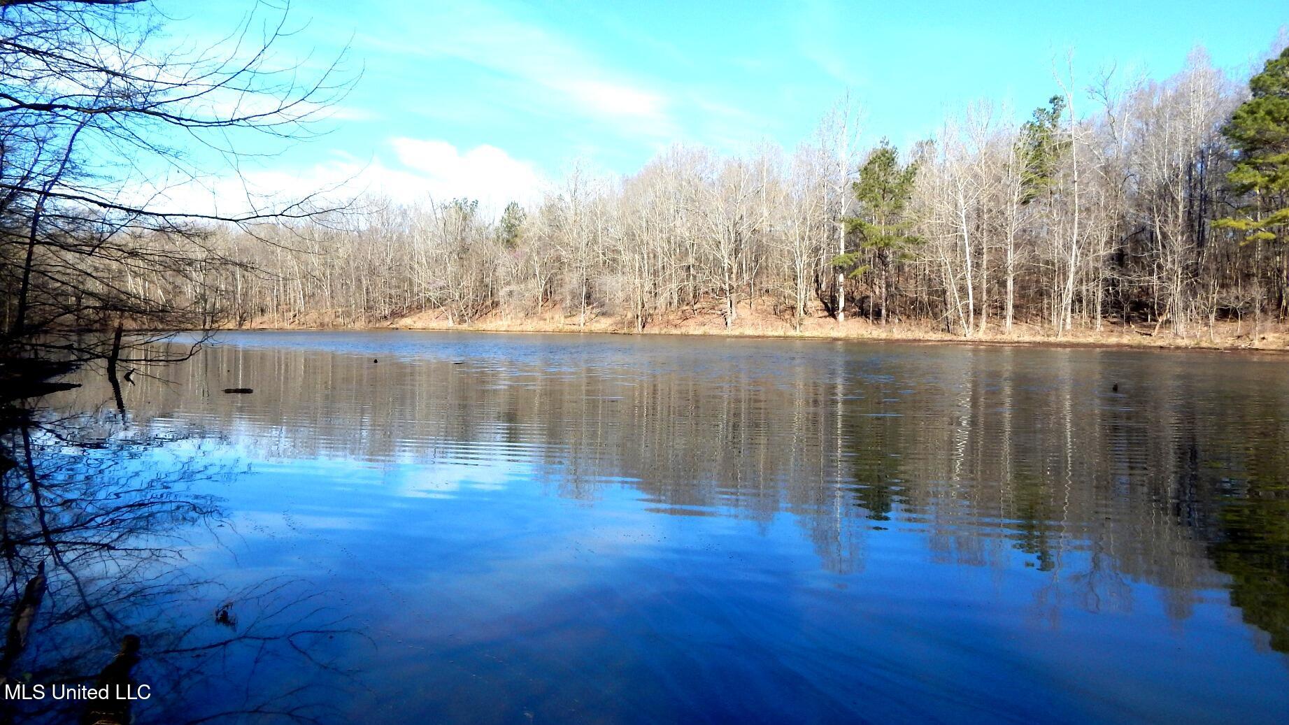 4577 Bluff Road Hernando, MS 38632 - Photo 38 of 50 DSCN6693