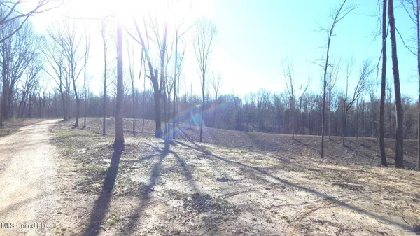 $395,000 | 4577 Bluff Road, Hernando, MS 38632