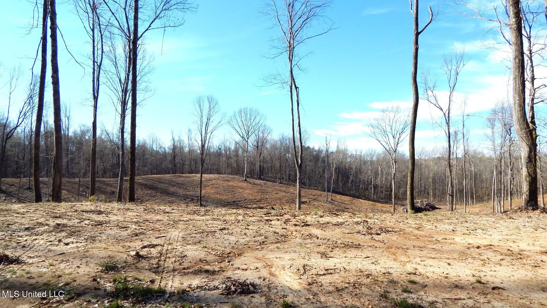 4577 Bluff Road Hernando, MS 38632 - Photo 40 of 50 DSCN6734