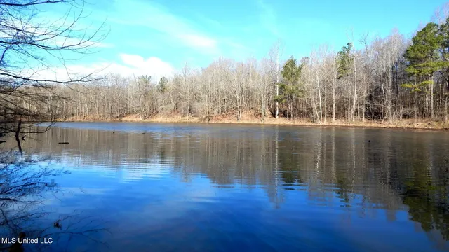 $395,000 | 4577 Bluff Road, Hernando, MS 38632