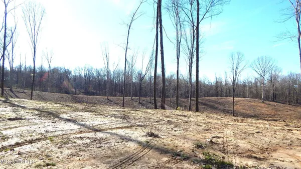 $395,000 | 4577 Bluff Road, Hernando, MS 38632