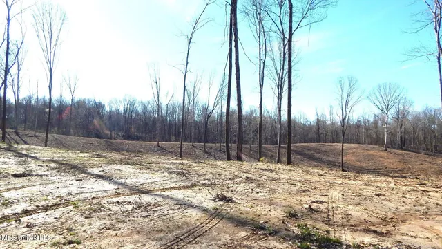 $395,000 | 4577 Bluff Road, Hernando, MS 38632