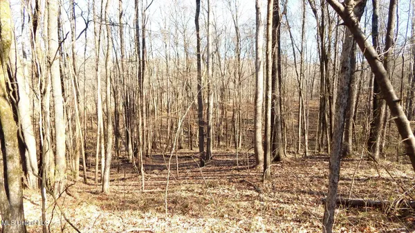 $395,000 | 4577 Bluff Road, Hernando, MS 38632