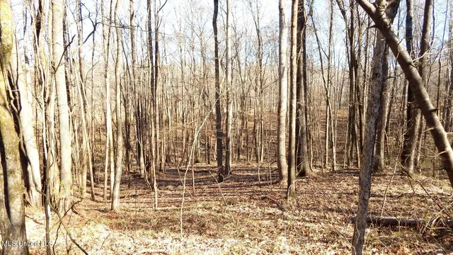 $395,000 | 4577 Bluff Road, Hernando, MS 38632