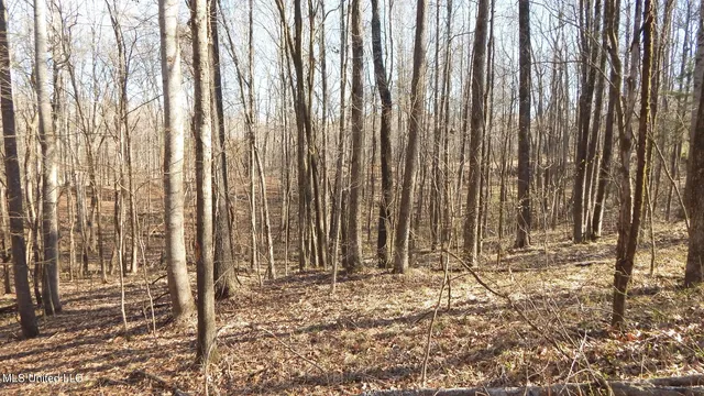 $395,000 | 4577 Bluff Road, Hernando, MS 38632