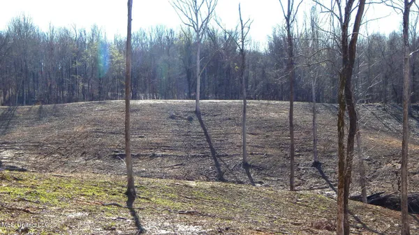 $395,000 | 4577 Bluff Road, Hernando, MS 38632