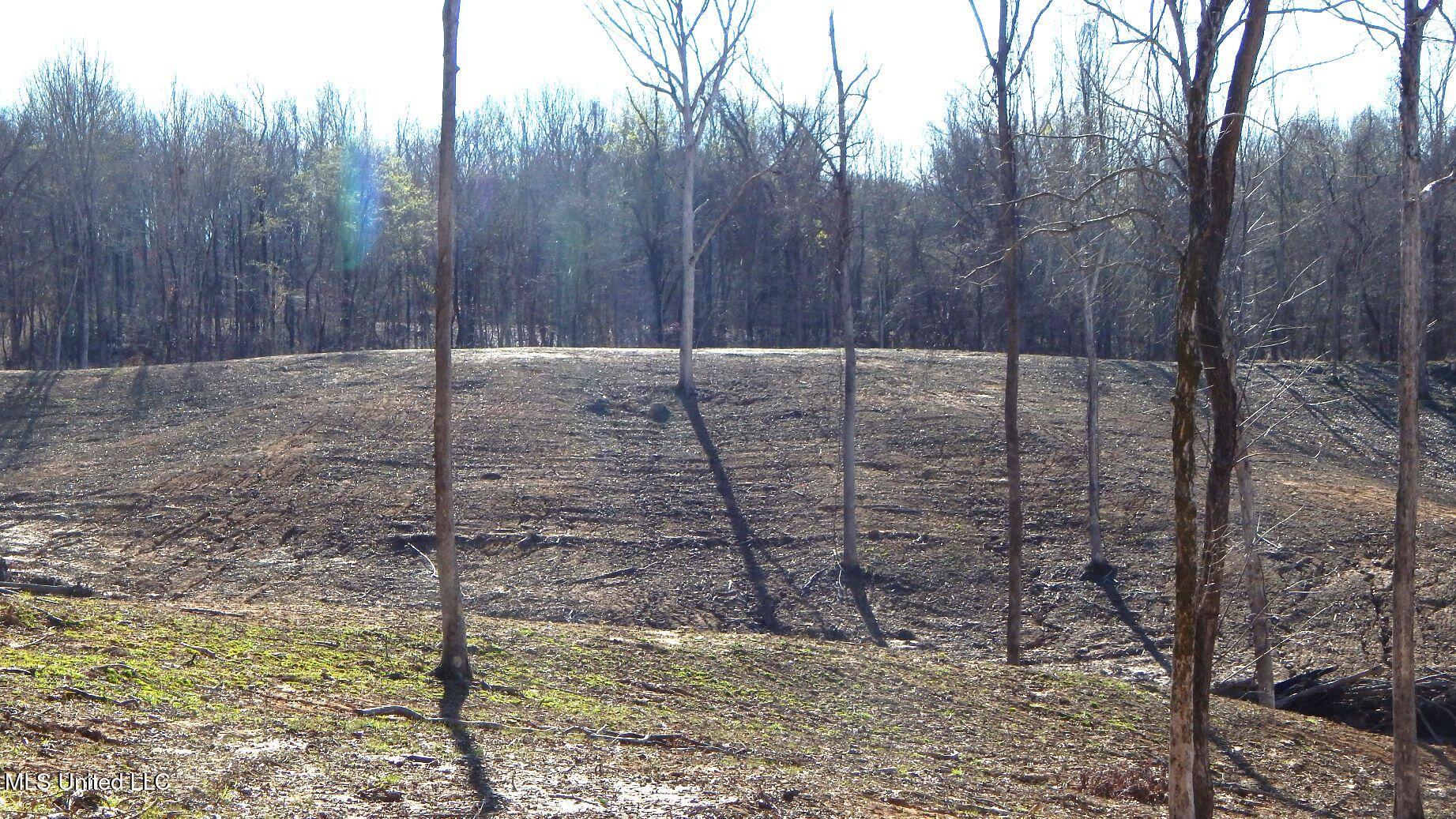 4577 Bluff Road Hernando, MS 38632 - Photo 45 of 50 DSCN6742