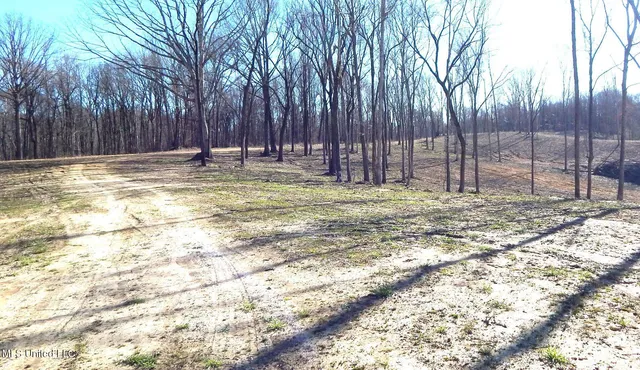 $395,000 | 4577 Bluff Road, Hernando, MS 38632