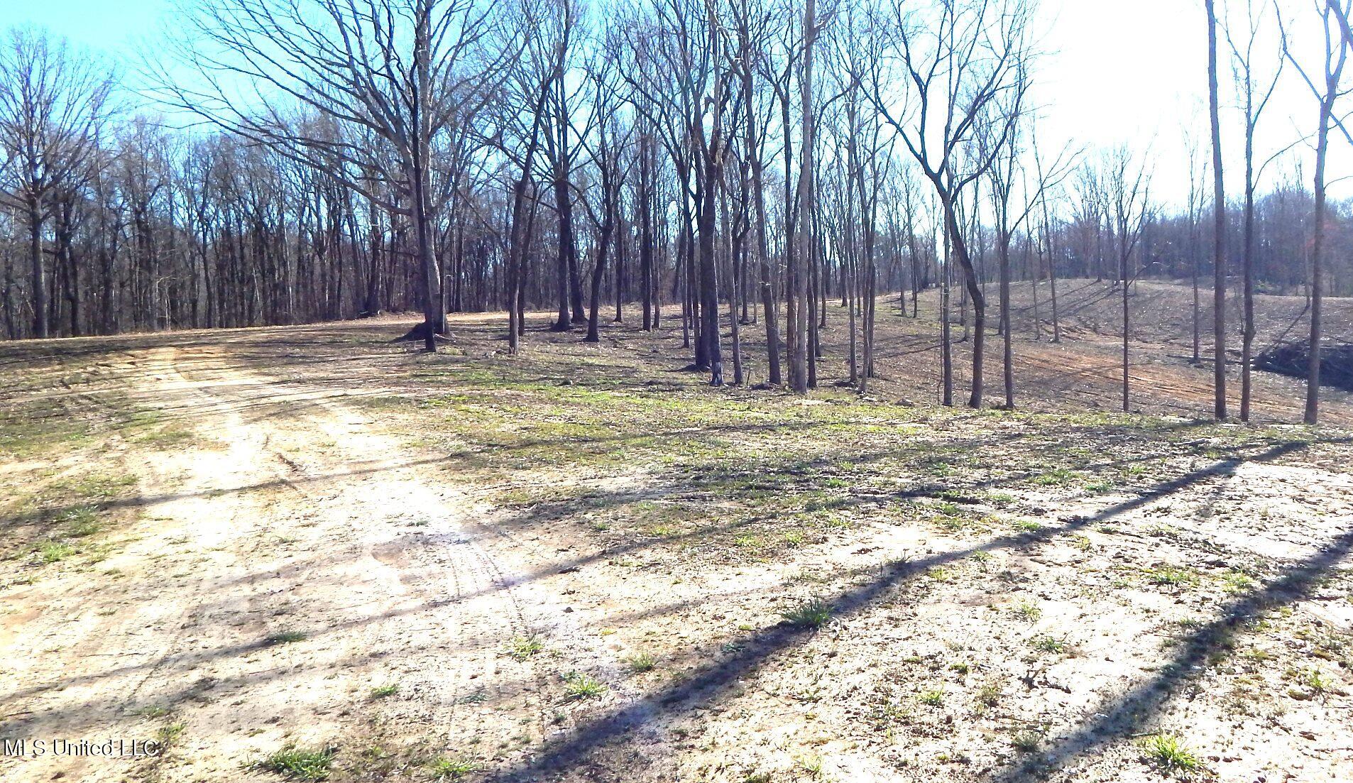 4577 Bluff Road Hernando, MS 38632 - Photo 46 of 50 DSCN6745