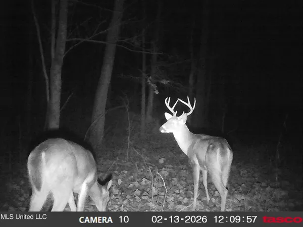 $395,000 | 4577 Bluff Road, Hernando, MS 38632