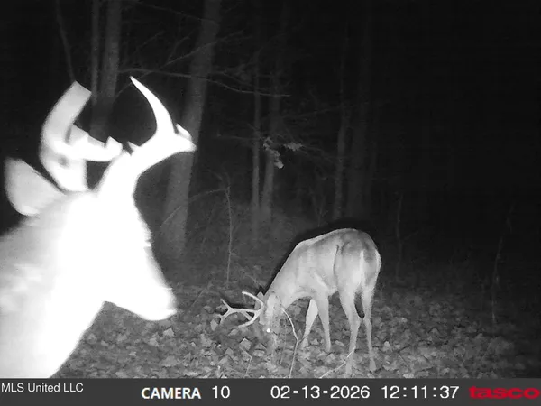 $395,000 | 4577 Bluff Road, Hernando, MS 38632