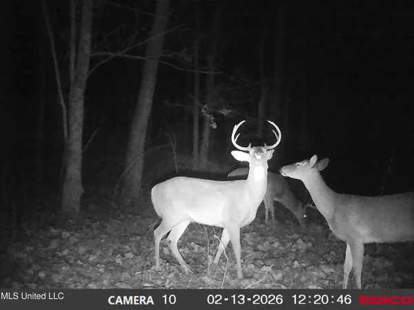 $395,000 | 4577 Bluff Road, Hernando, MS 38632