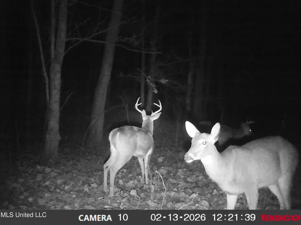 $395,000 | 4577 Bluff Road, Hernando, MS 38632