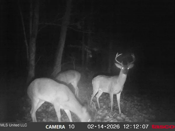 $395,000 | 4577 Bluff Road, Hernando, MS 38632