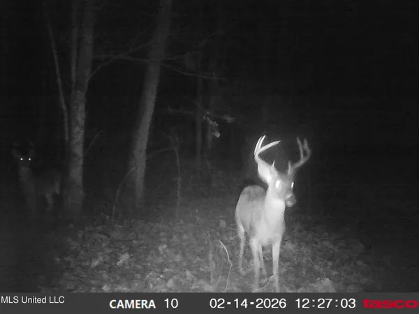 $395,000 | 4577 Bluff Road, Hernando, MS 38632