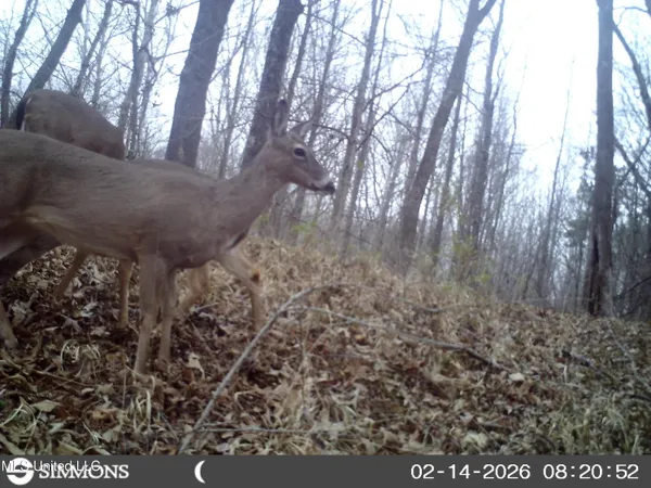 $395,000 | 4577 Bluff Road, Hernando, MS 38632