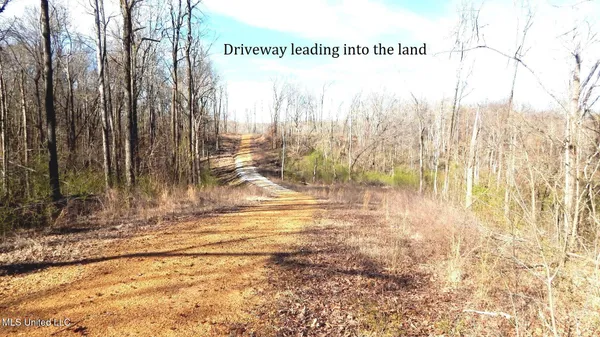 $395,000 | 4577 Bluff Road, Hernando, MS 38632