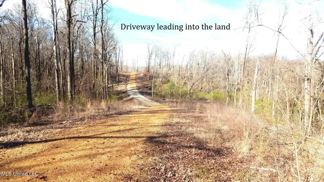 $395,000 | 4577 Bluff Road, Hernando, MS 38632