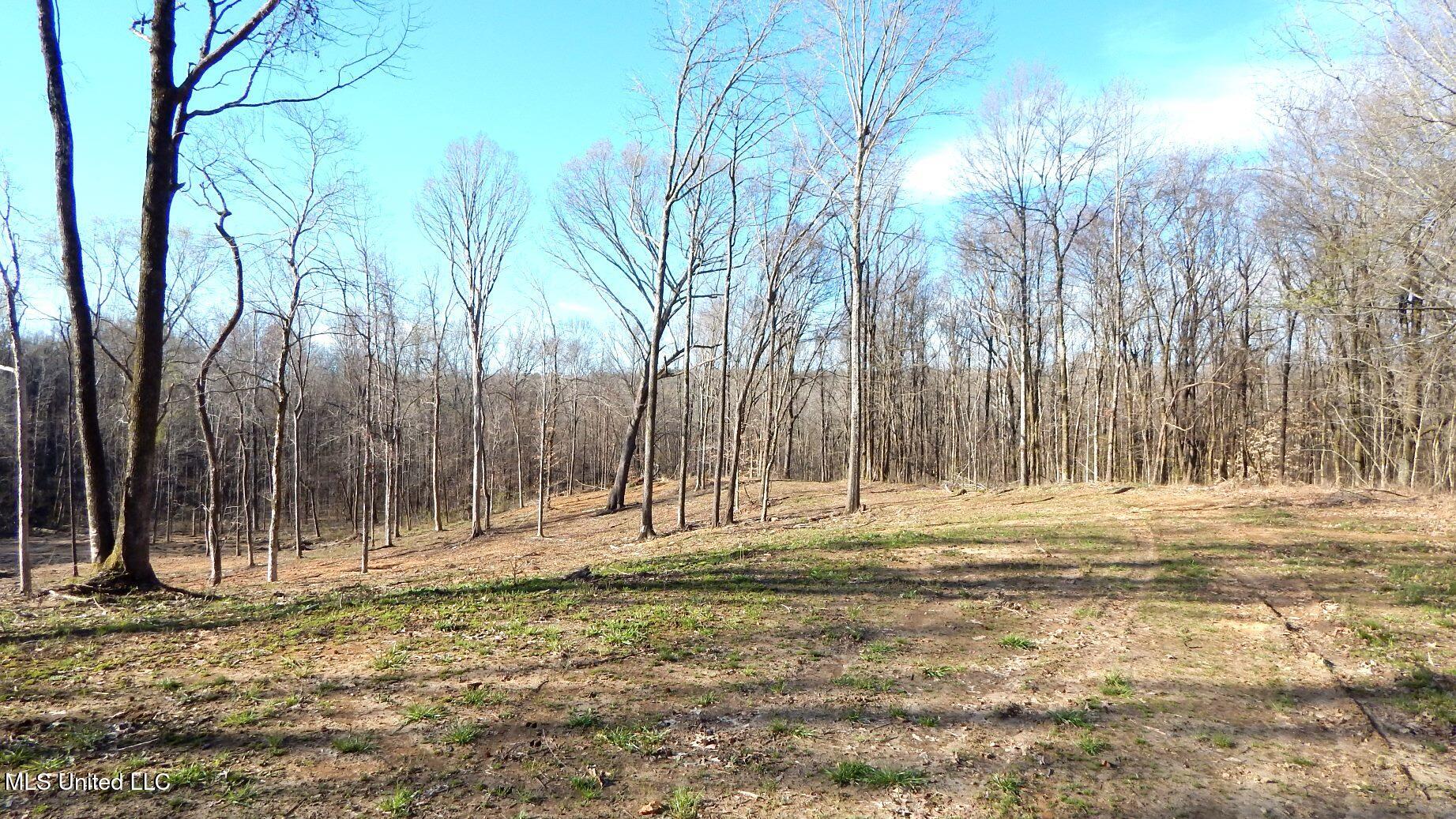 4577 Bluff Road Hernando, MS 38632 - Photo 7 of 50 DSCN6702