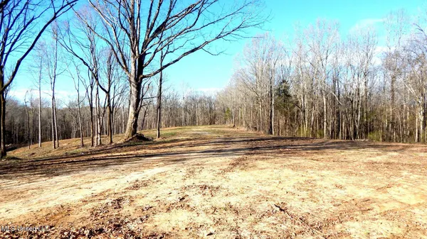 $395,000 | 4577 Bluff Road, Hernando, MS 38632