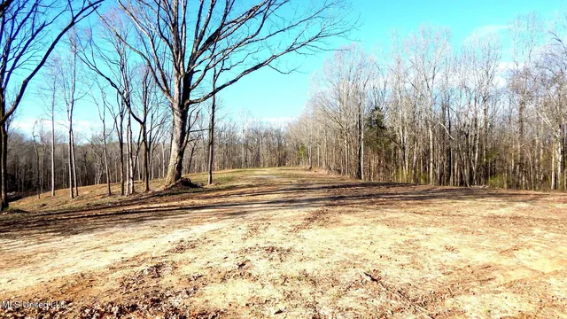 $395,000 | 4577 Bluff Road, Hernando, MS 38632