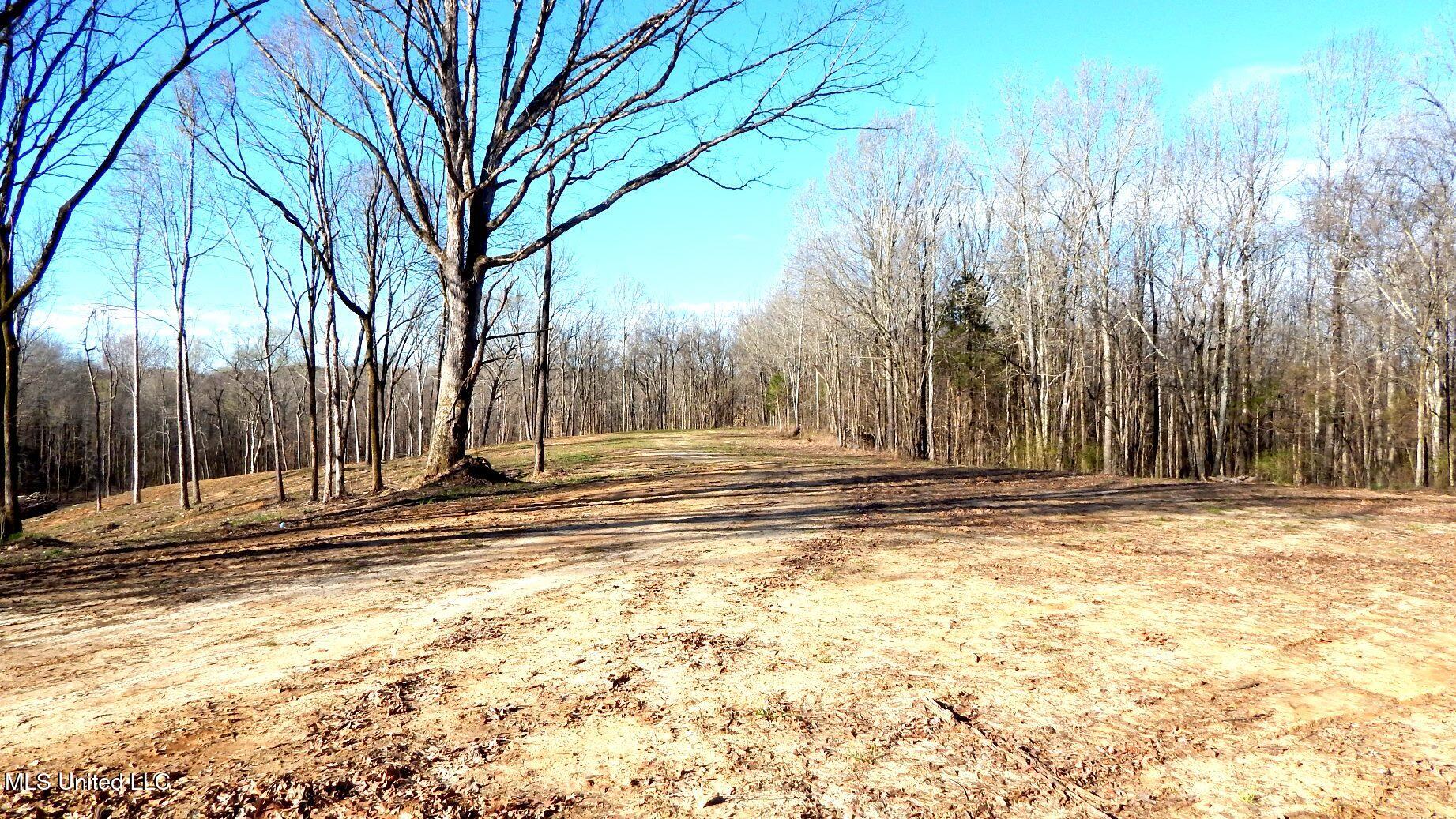 4577 Bluff Road Hernando, MS 38632 - Photo 8 of 50 DSCN6690