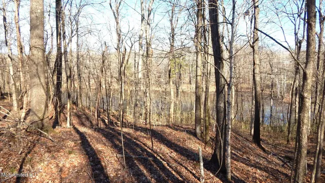 $395,000 | 4577 Bluff Road, Hernando, MS 38632