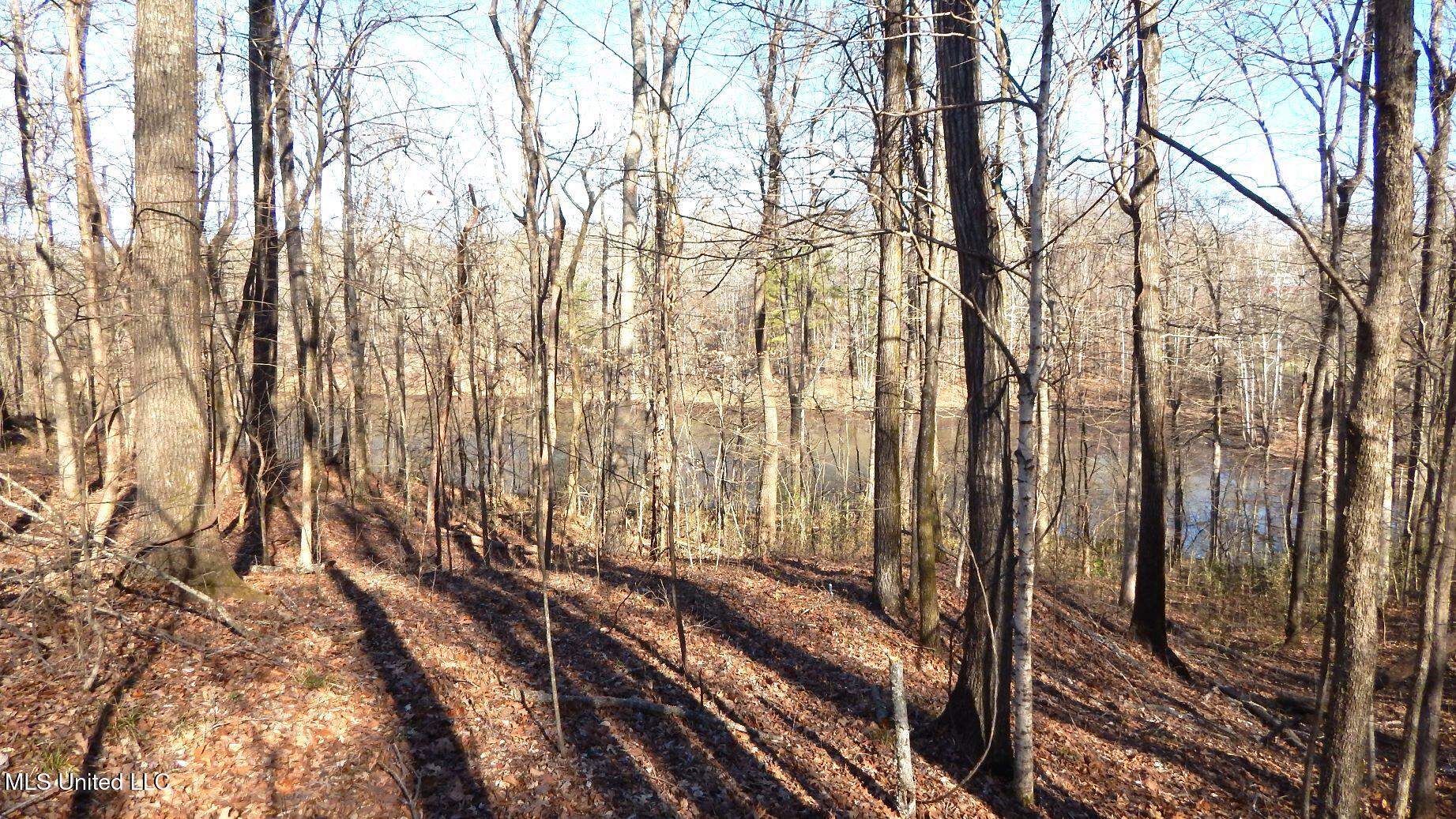 4577 Bluff Road Hernando, MS 38632 - Photo 9 of 50 DSCN6732