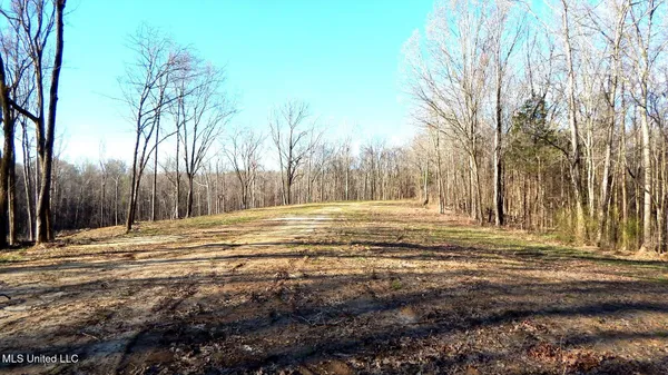 $395,000 | 4577 Bluff Road, Hernando, MS 38632