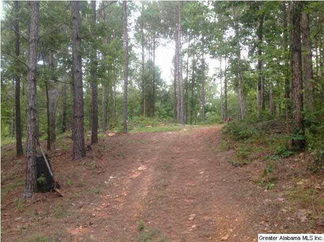 1900 Pepper Road, Unit 55 AC Ashland, AL 36251 - Photo 10 of 20