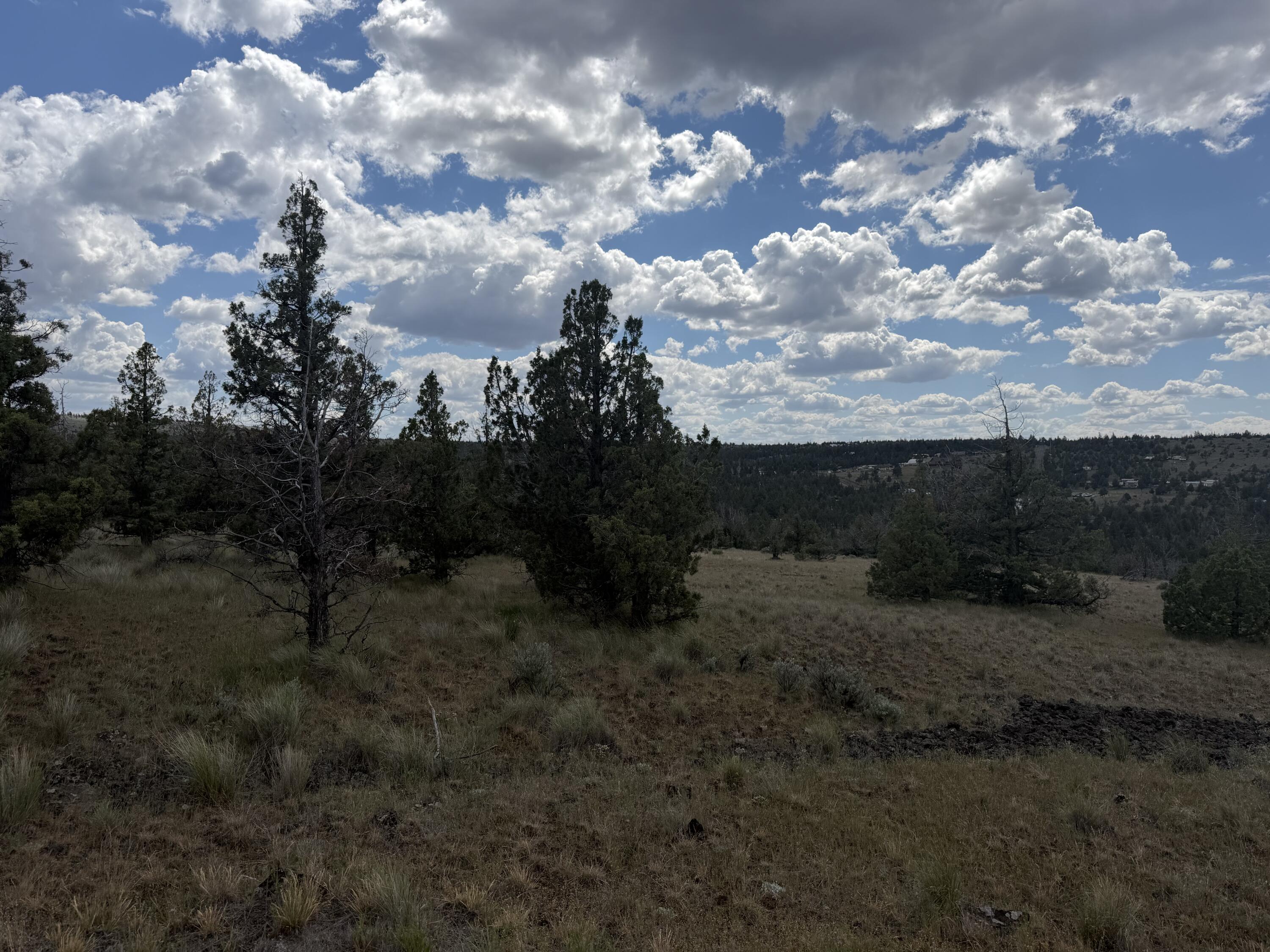 14587 Southeast Sharps Road Prineville, OR 97754 - Photo 1 of 2 a view of a bunch of trees