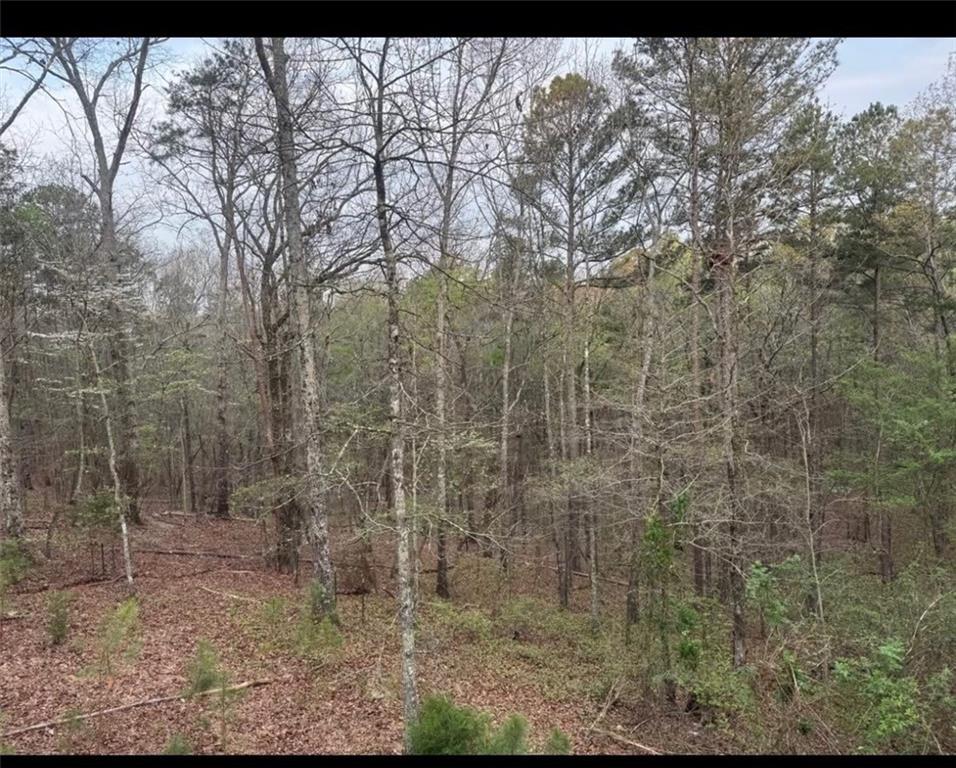 48 Spring Ridge Road Northwest Kingston, GA 30145 - Photo 16 of 19