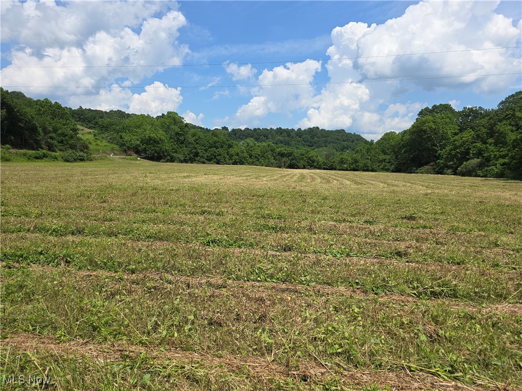 13 Rd Stockport Oh 43787 Road Stockport, OH 43787 - Photo 6 of 15 View of woods featuring a view of rural / pastoral area