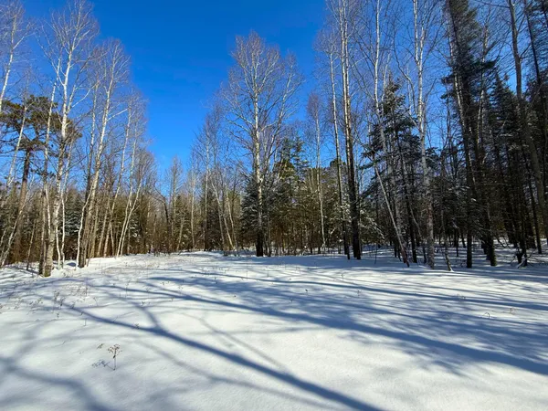 $45,000 | 72-xxx East Central Lakes Road, Eveleth, MN 55734