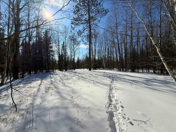 $45,000 | 72-xxx East Central Lakes Road, Eveleth, MN 55734