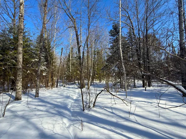 $45,000 | 72-xxx East Central Lakes Road, Eveleth, MN 55734